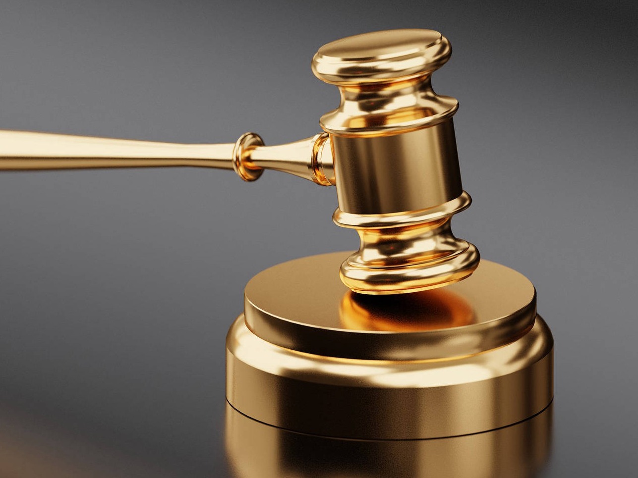 gold judges gavel with gray background